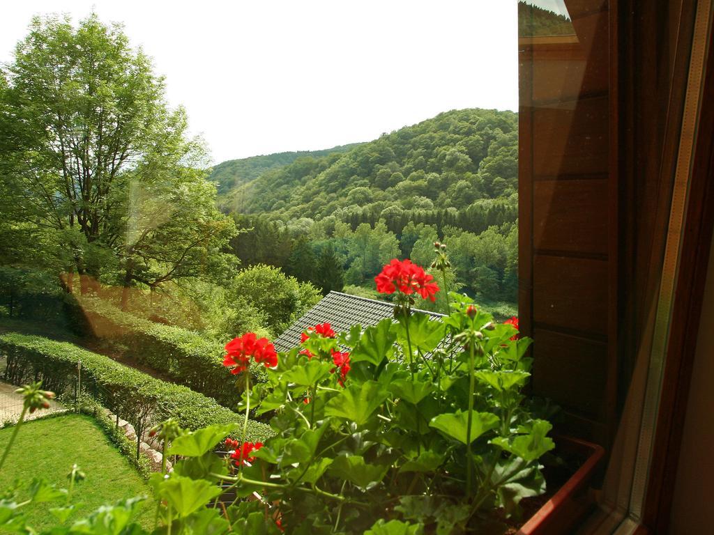 Cottage With A Terrace And A View Of The Valley Aywaille Exterior photo